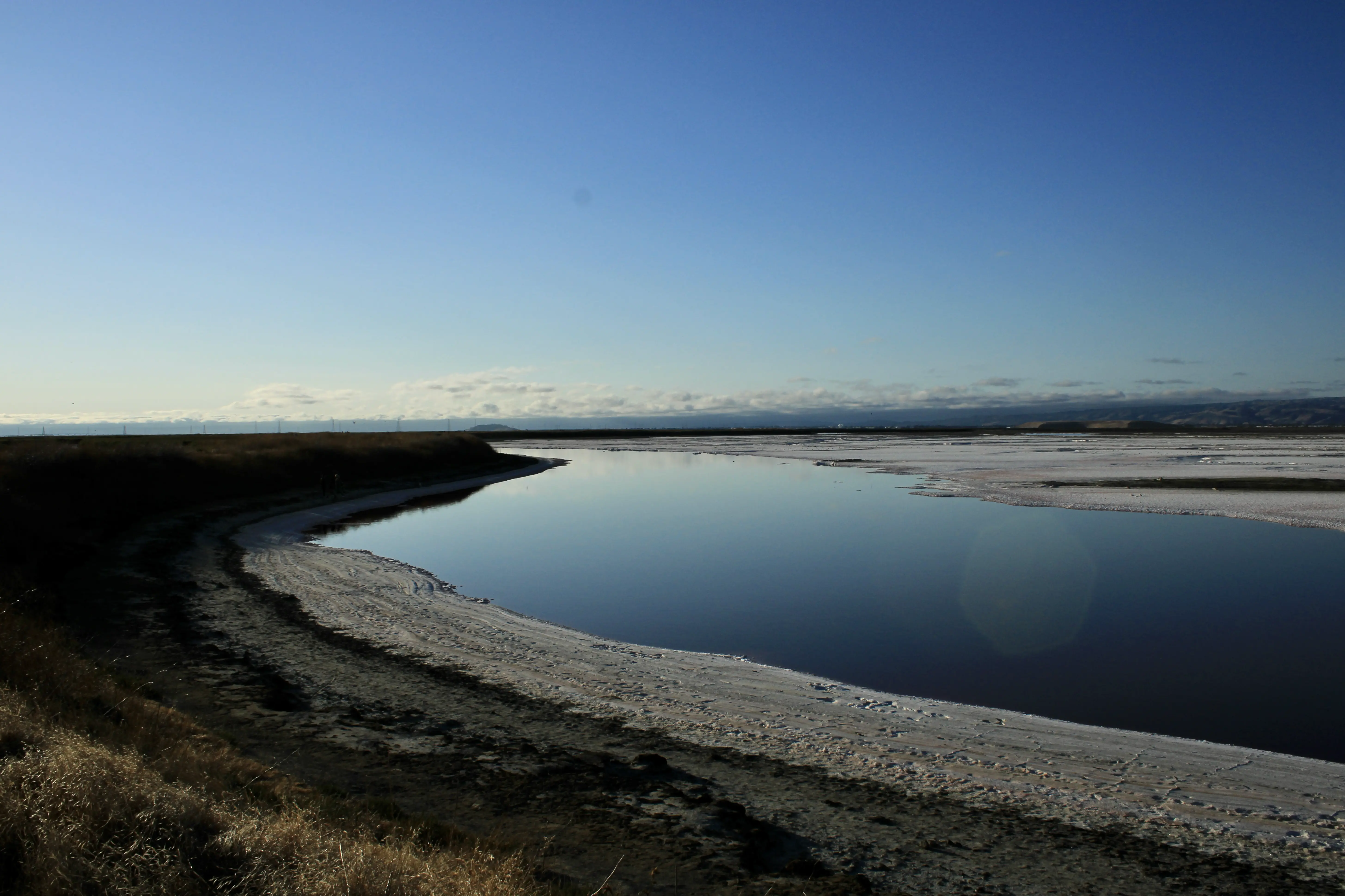 Alviso Marina County Park